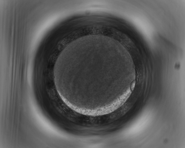 X0000098000383200804211138