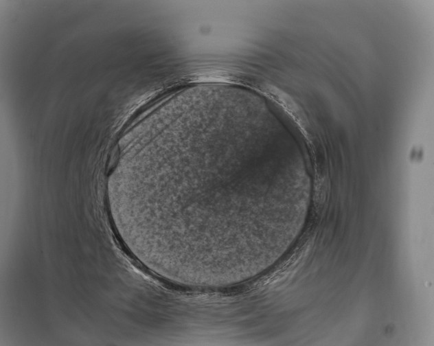 X0000098000385200804211137