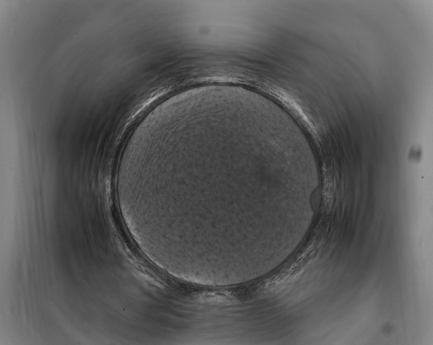 X0000098000386200804211137