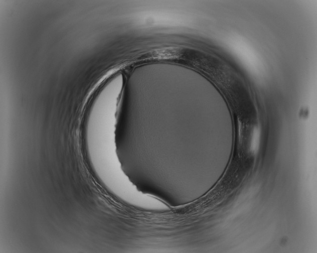 X0000098000387200804211137