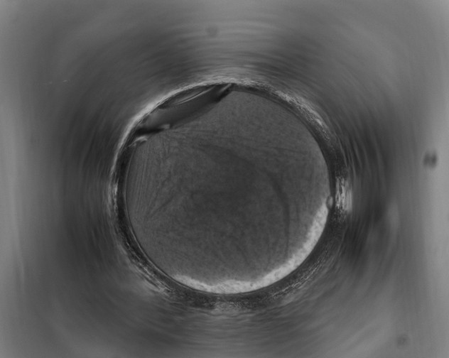X0000098000388200804211137