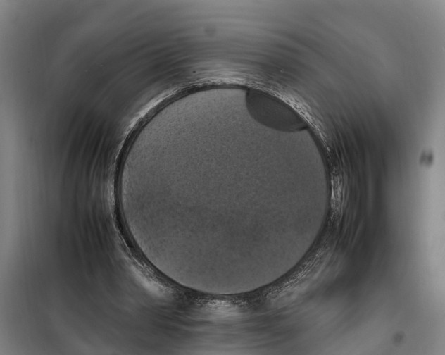 X0000098000390200804211137