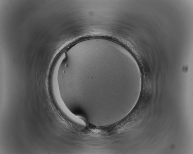 X0000098000391200804211137