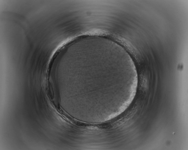 X0000098000392200804211137