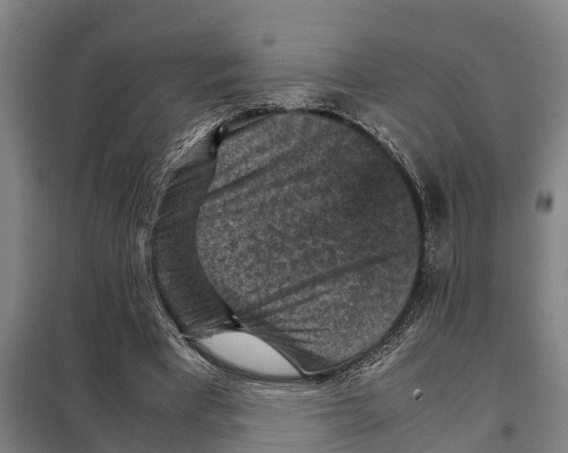 X0000098000393200804211137