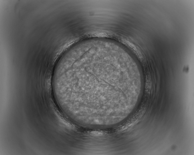 X0000098000394200804211137