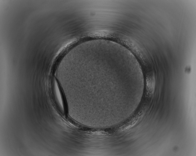 X0000098000396200804211137
