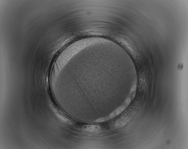 X0000098000398200804211137