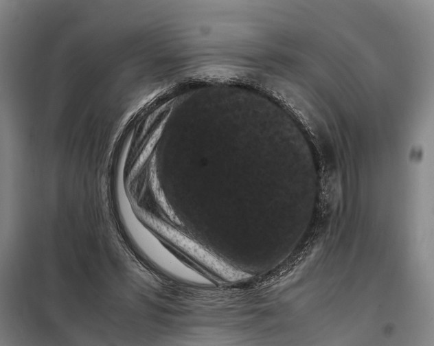 X0000098000399200804211137