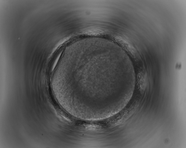 X0000098000400200804211137