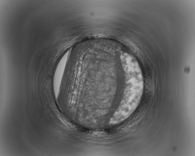 X0000098000401200804211137