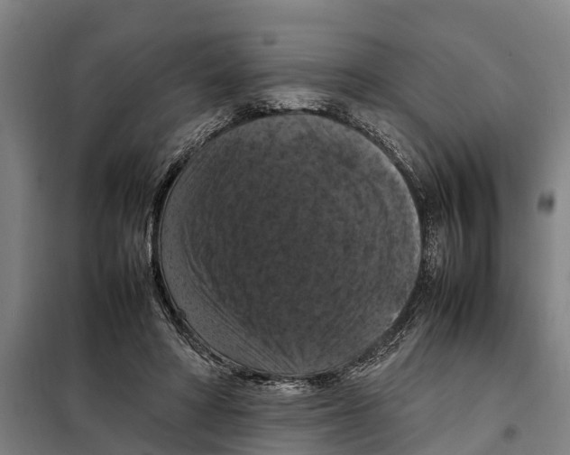 X0000098000402200804211137