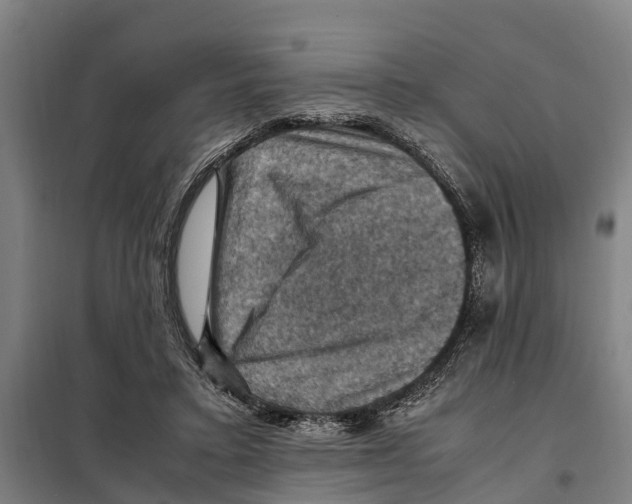 X0000098000403200804211137