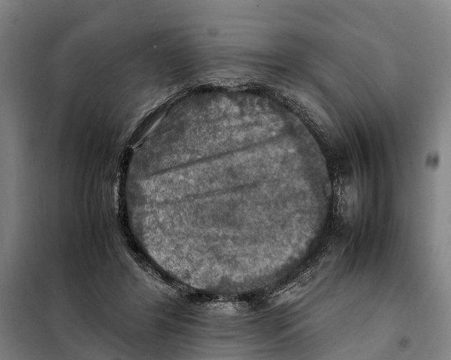 X0000098000404200804211137