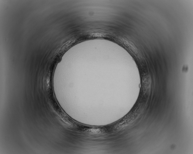 X0000098000406200804211137
