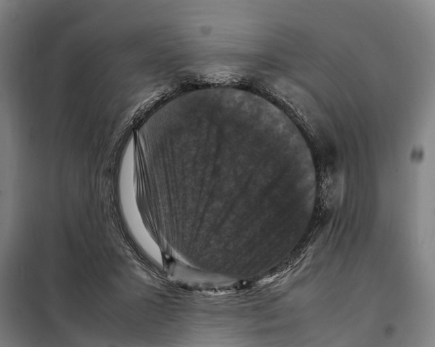 X0000098000407200804211137