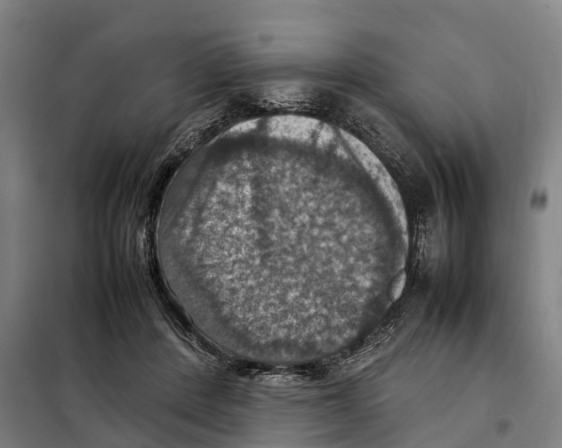 X0000098000408200804211137