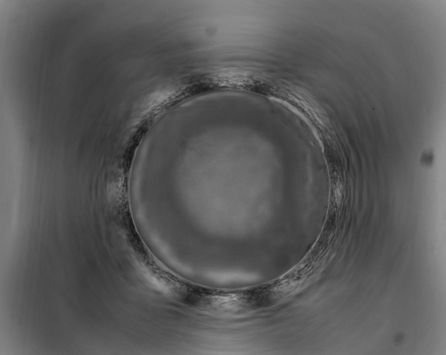 X0000098000411200804211137