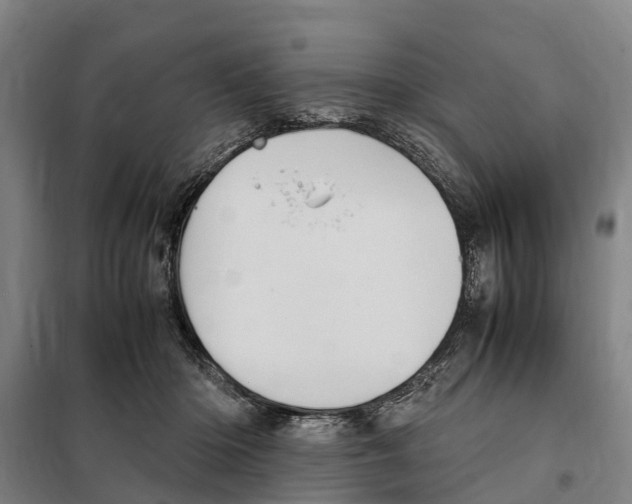 X0000098000414200804211137