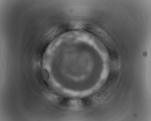 X0000098000415200804211137