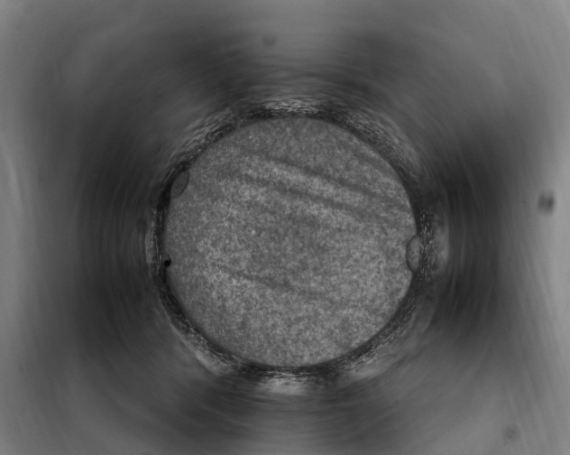 X0000098000416200804211137