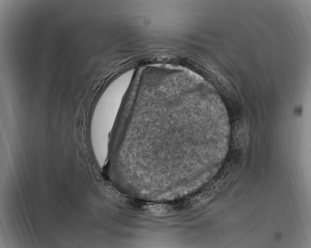 X0000098000417200804211136