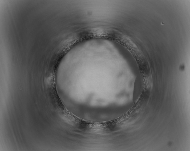 X0000098000419200804211136