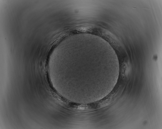 X0000098000420200804211136