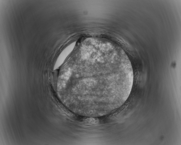 X0000098000421200804211136