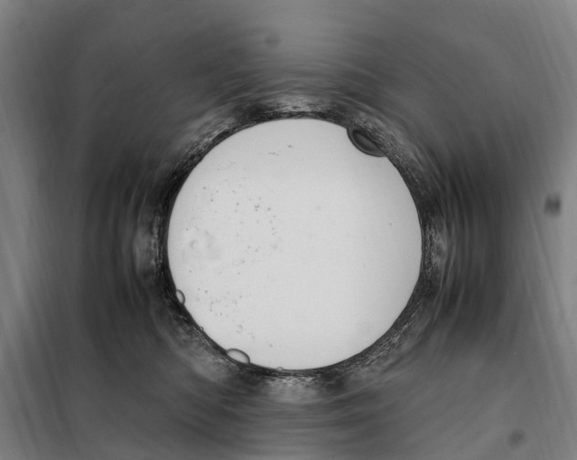 X0000098000422200804211136