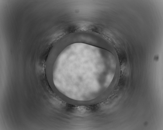 X0000098000423200804211136