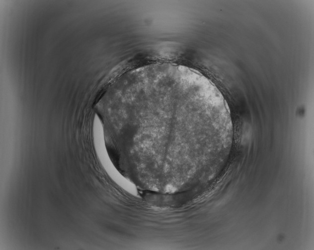 X0000098000425200804211136
