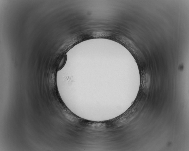 X0000098000426200804211136