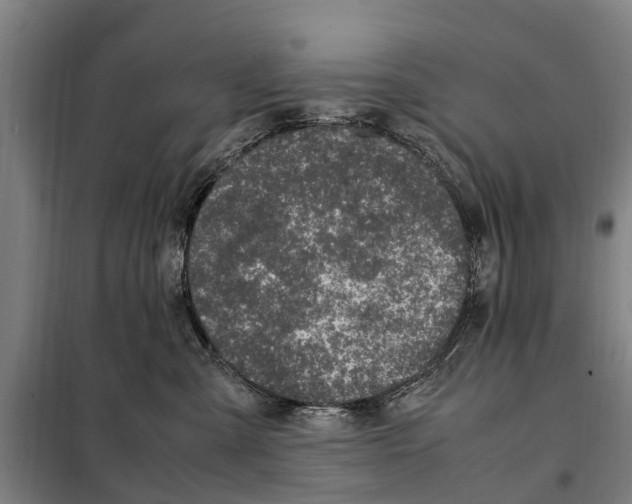 X0000098000427200804211136