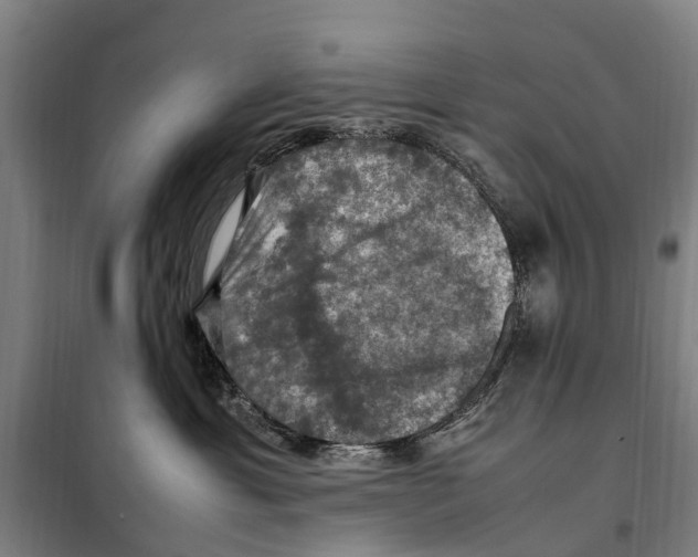 X0000098000429200804211136