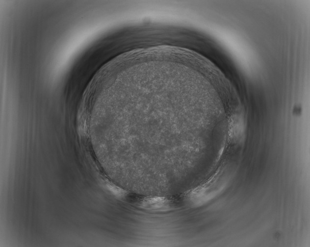 X0000098000431200804211136