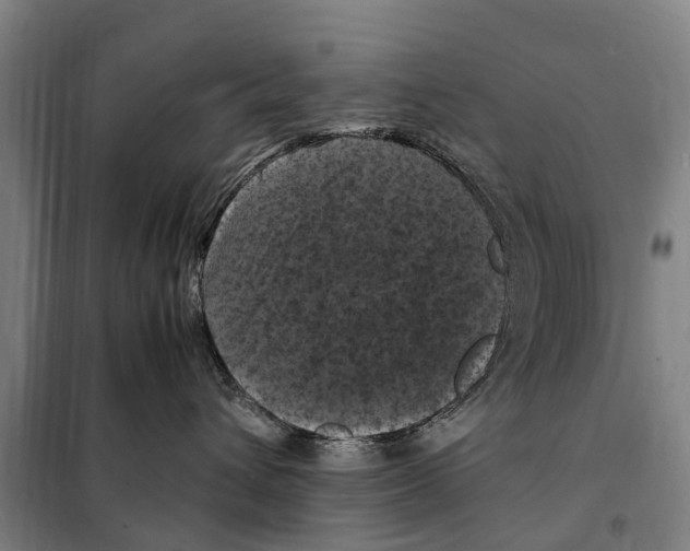 X0000098000432200804211136