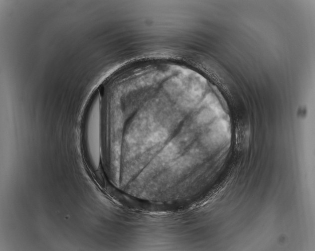 X0000098000436200804211135