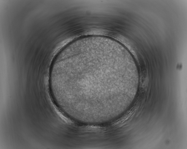 X0000098000437200804211135