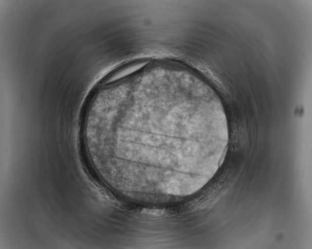 X0000098000440200804211135
