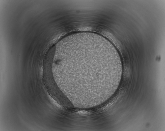 X0000098000441200804211135