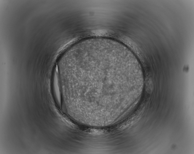 X0000098000442200804211135