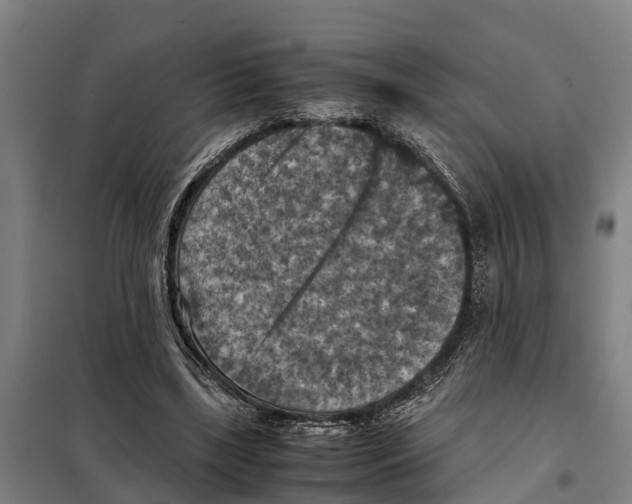 X0000098000443200804211135
