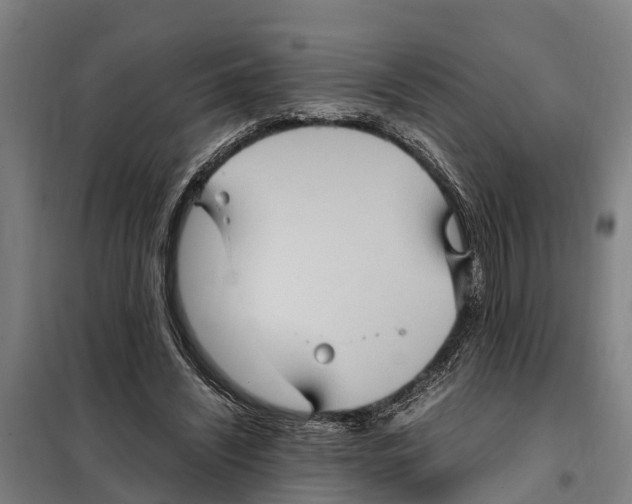X0000098000444200804211135