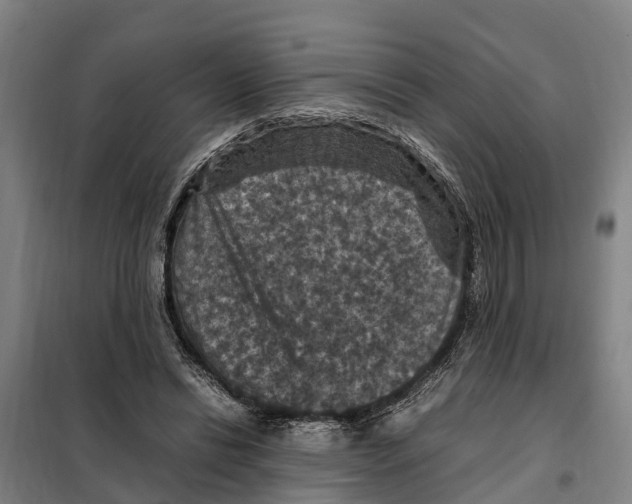 X0000098000446200804211135