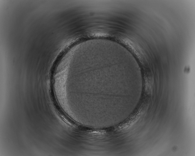 X0000098000447200804211135