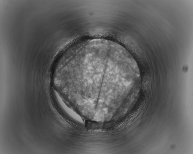X0000098000448200804211135