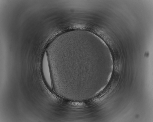 X0000098000449200804211136