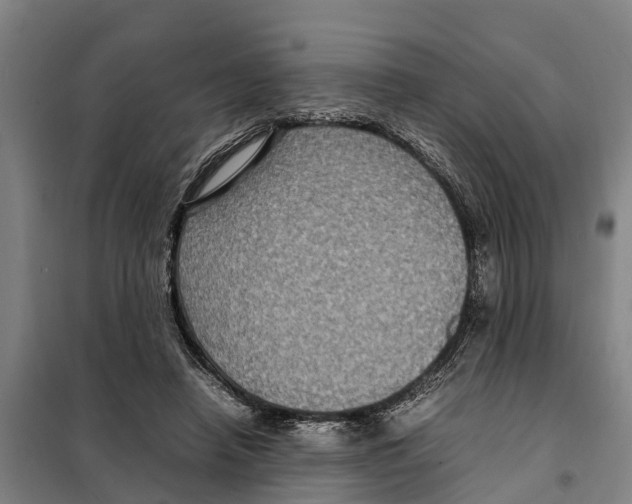 X0000098000450200804211136