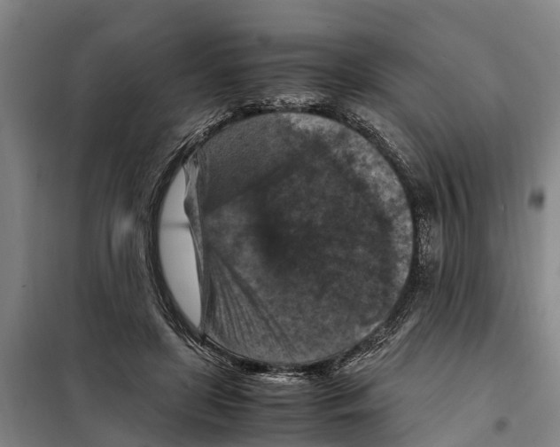 X0000098000451200804211136